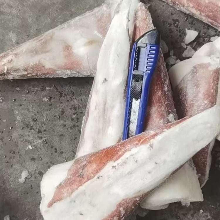Frozen Indian Ocean Squid Tail Tip