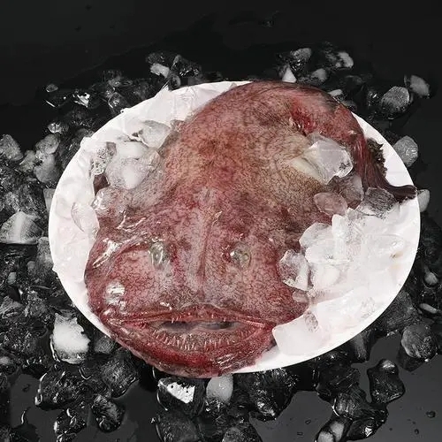 Frozen Monkfish Gutted