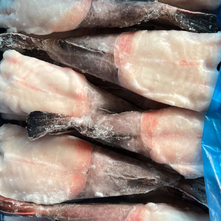 Frozen Monkfish Tail