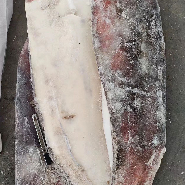 Frozen GIANT  Squid FILLET SKIN ON