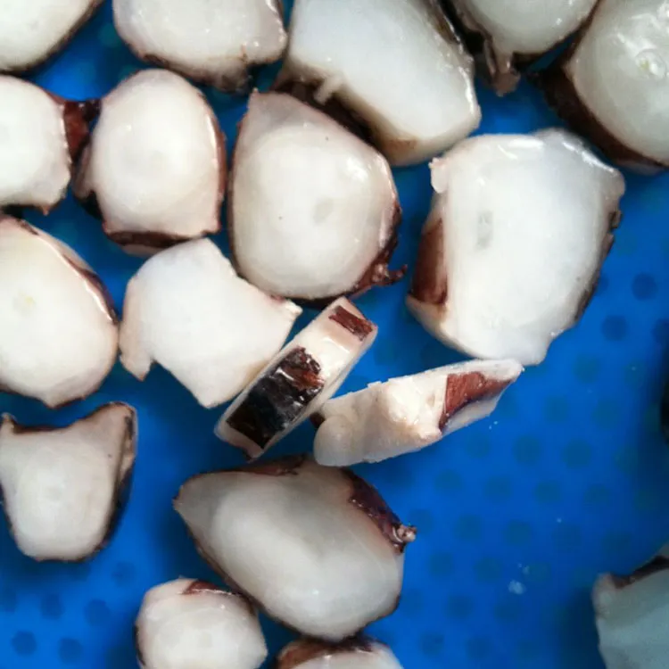 Filetes Sin Piel De Calamares Congelados De Perú