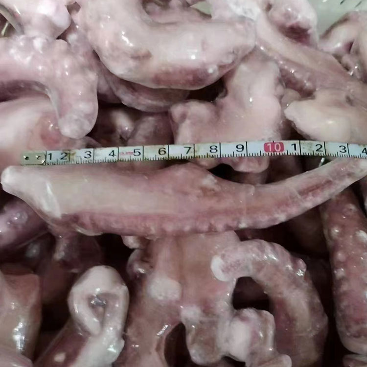 Frozen Skinless Squid Tentacle