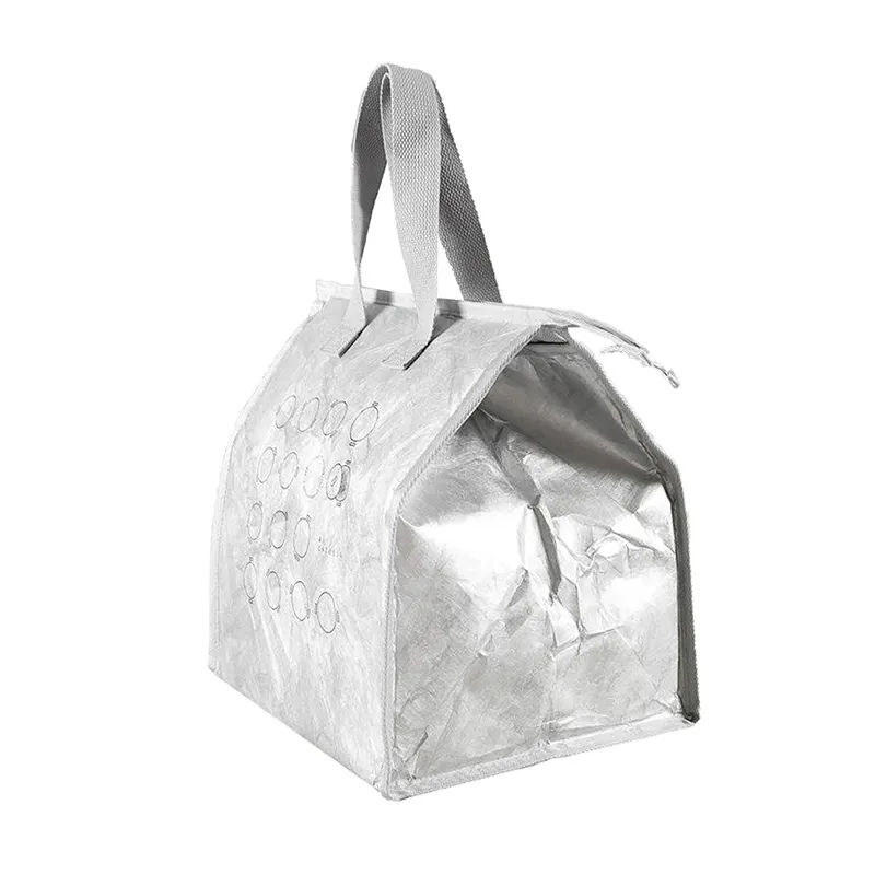 Silberne Lunchtasche aus Tyvek-Material