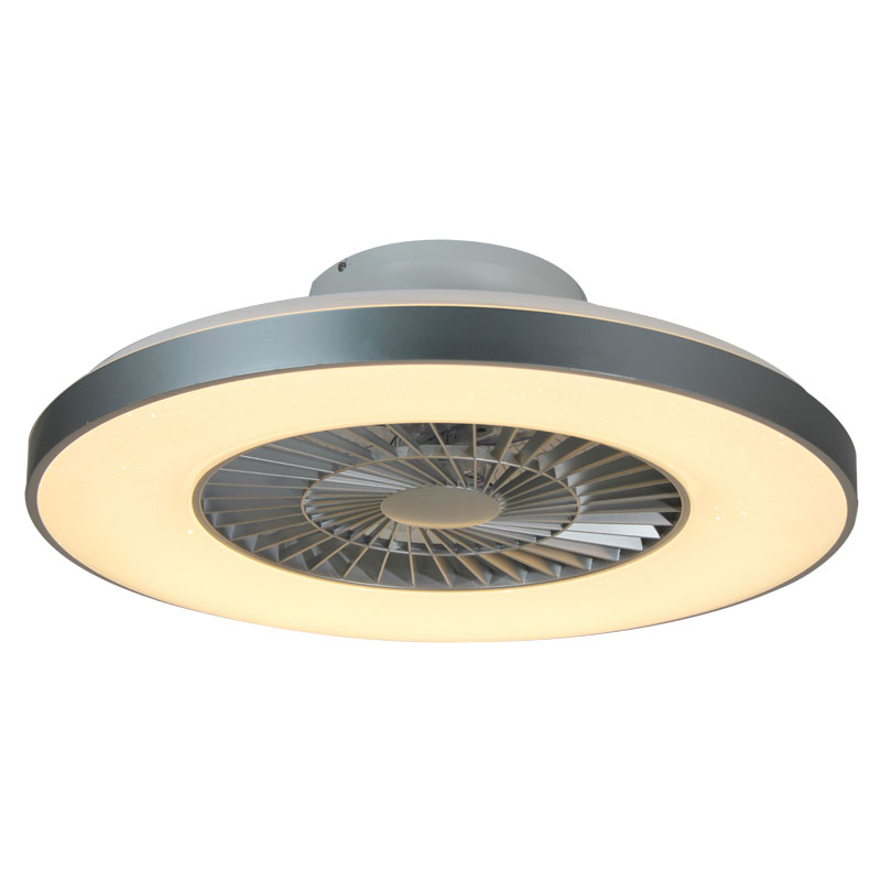 Decorative Ring Ceiling Light Fan Lamp