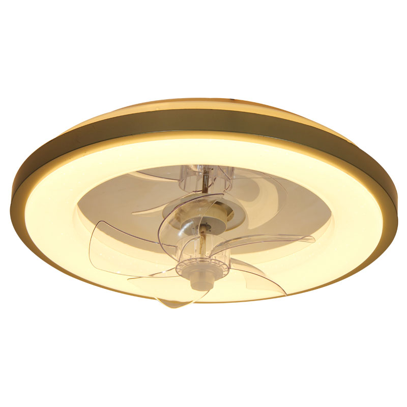 Modern Ceiling Fan with Light