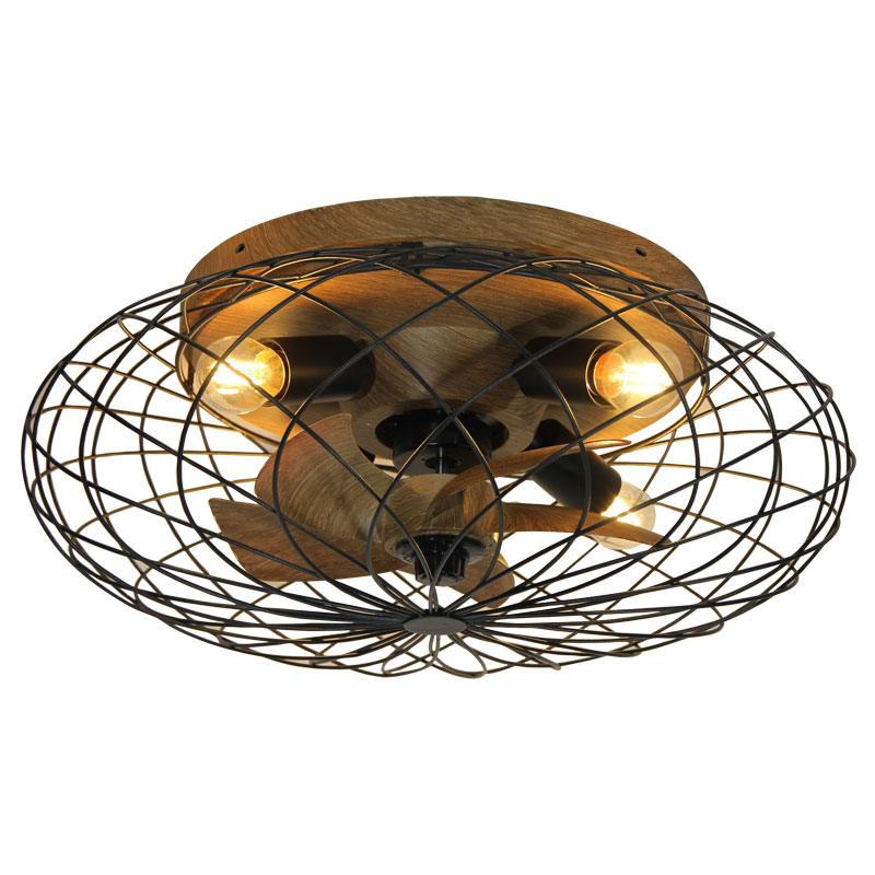 Changeable Bulb Iron Ceiling Fan Light