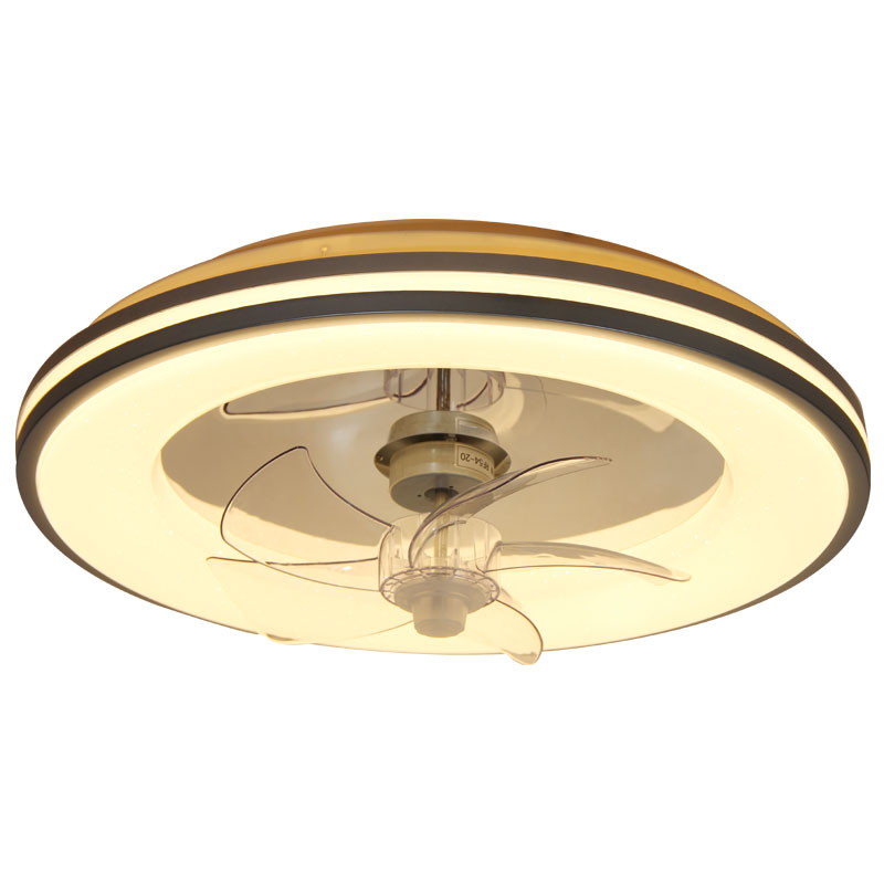 Low Profile Ceiling Fan with Light