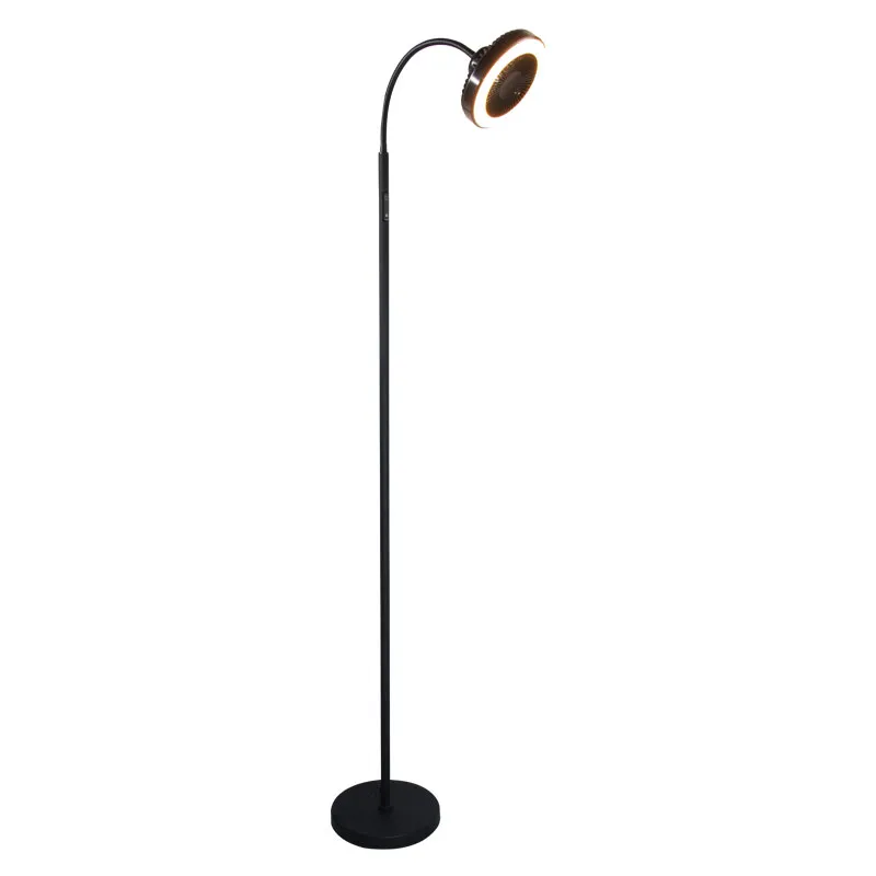 Single Head Floor Lamp Fan