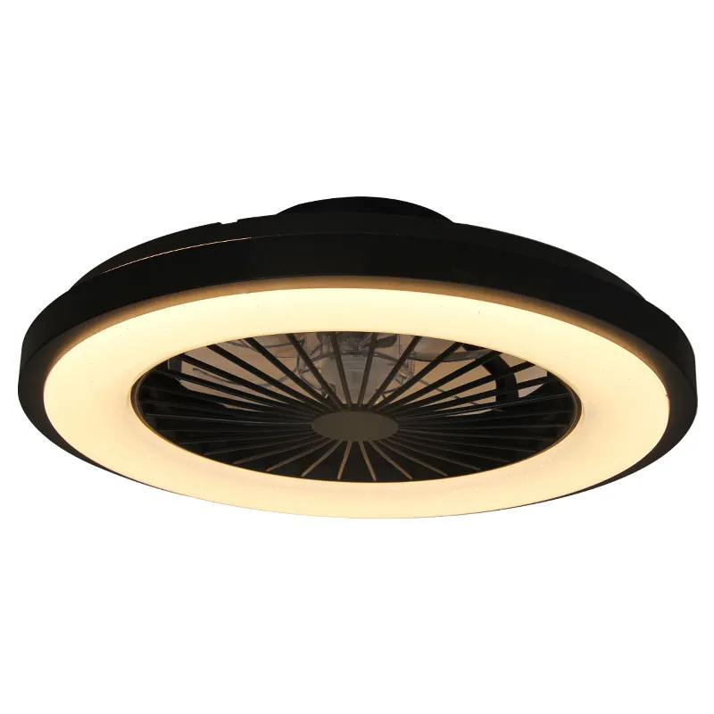 Smart Ceiling Fan Light
