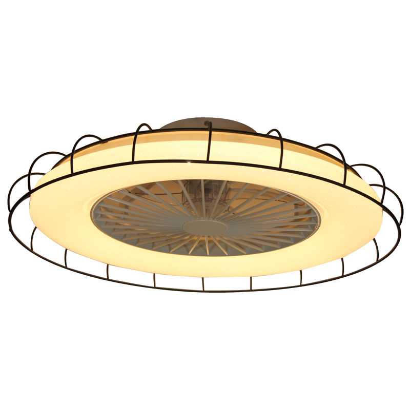 Ultra-thin Iron Shade Ceiling Fan Lamp