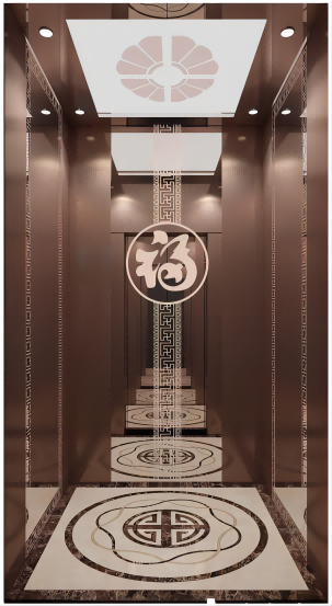 luxury decoration home elevator