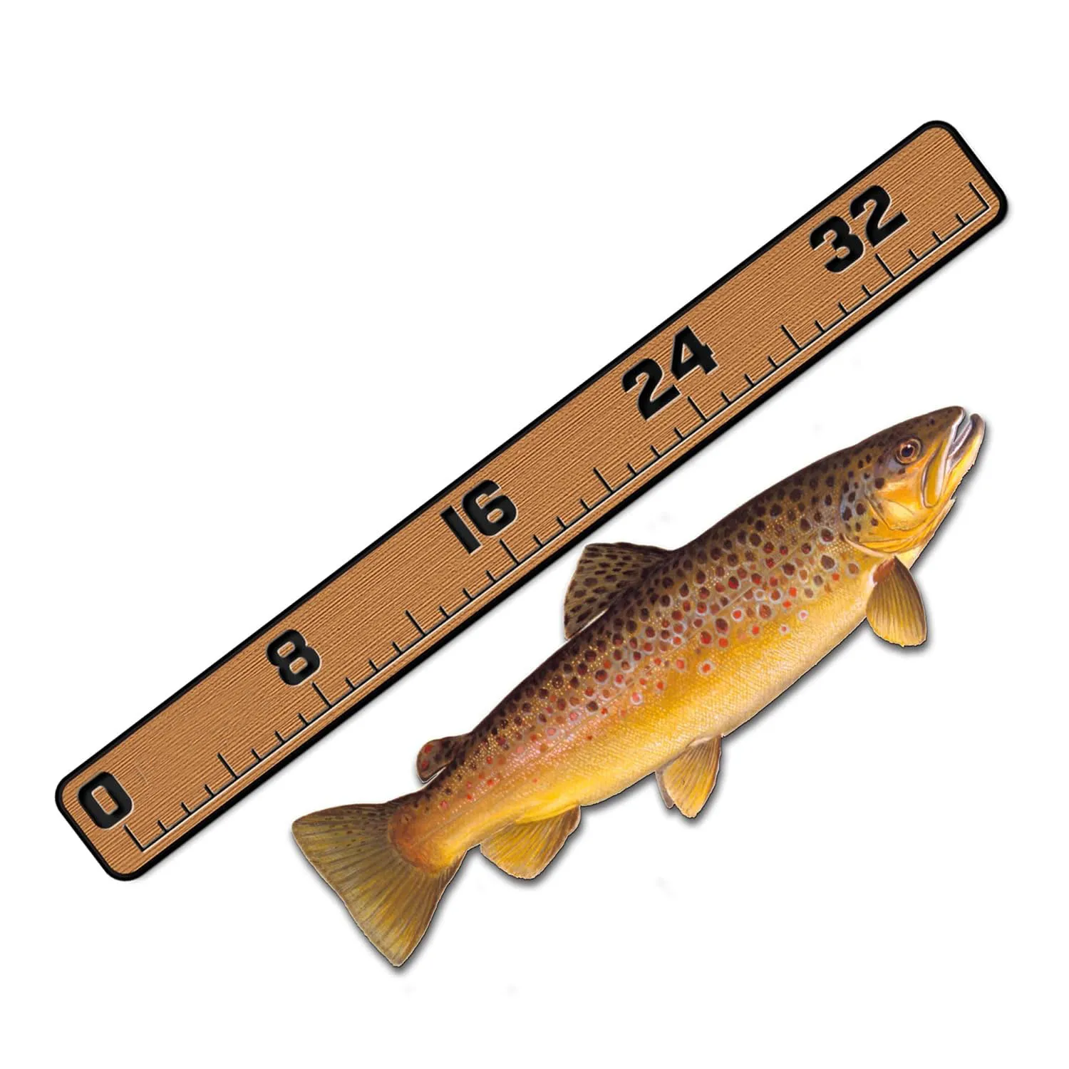 EVA Fish Ruler