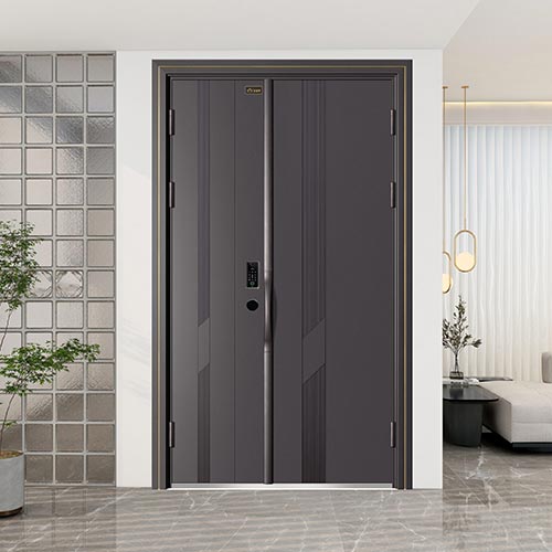 Metal Entrance Doors