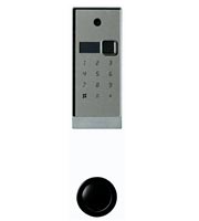 Inlaid smart lock