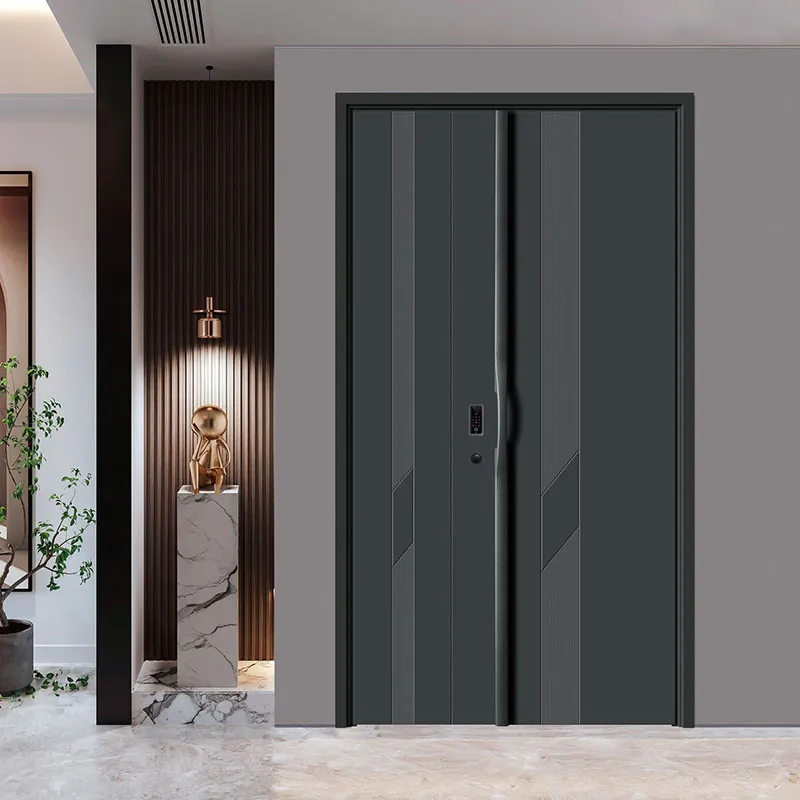 Minimalist Modern Entrance Door