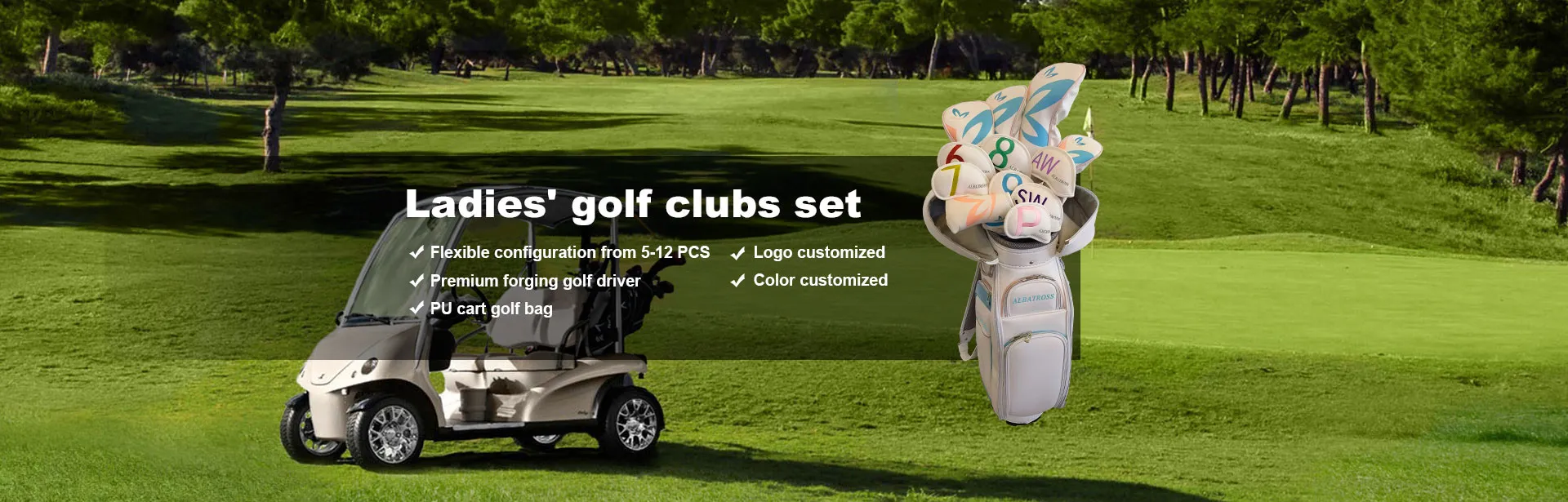 China Ladies' Golf Clubs Set