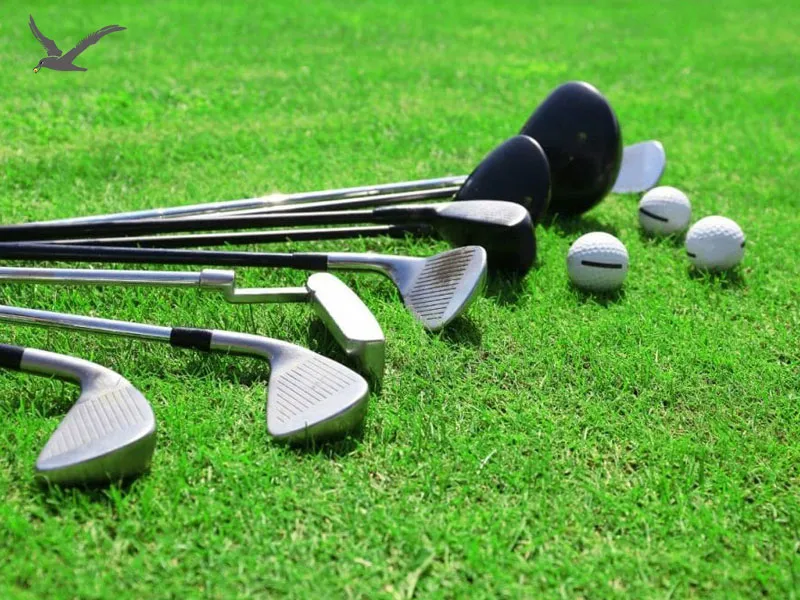 How to Choose Proper Golf Clubs Sets for Your Consumers