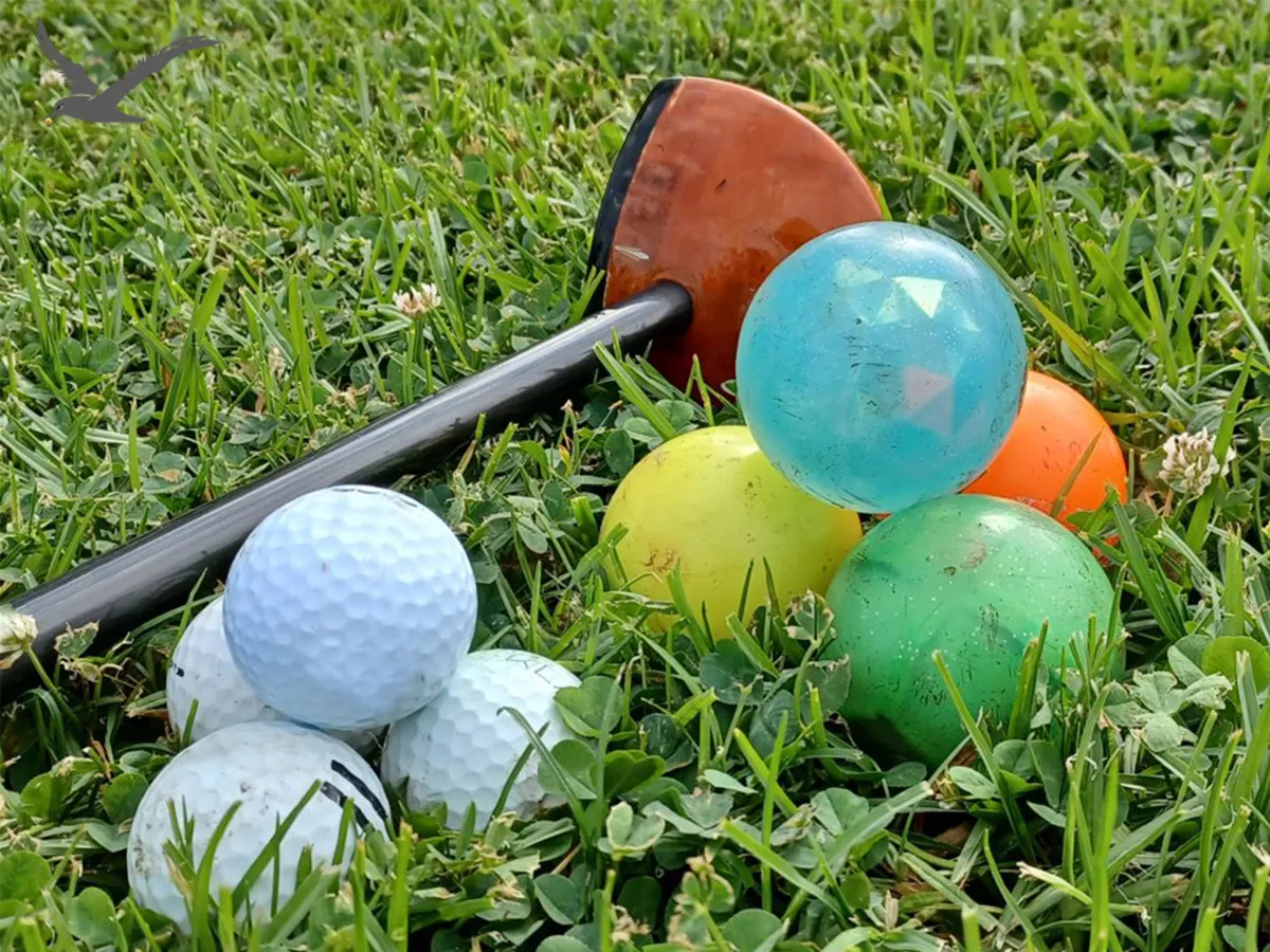 Diversity of Park Golf Balls