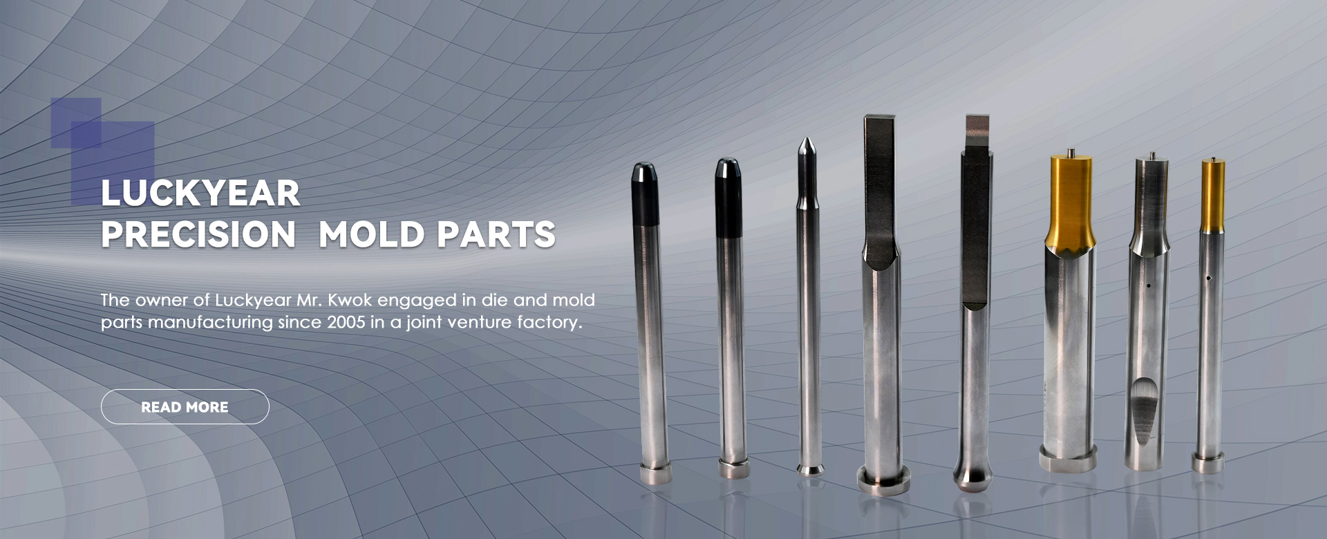 Precision Punches and Dies Supplier