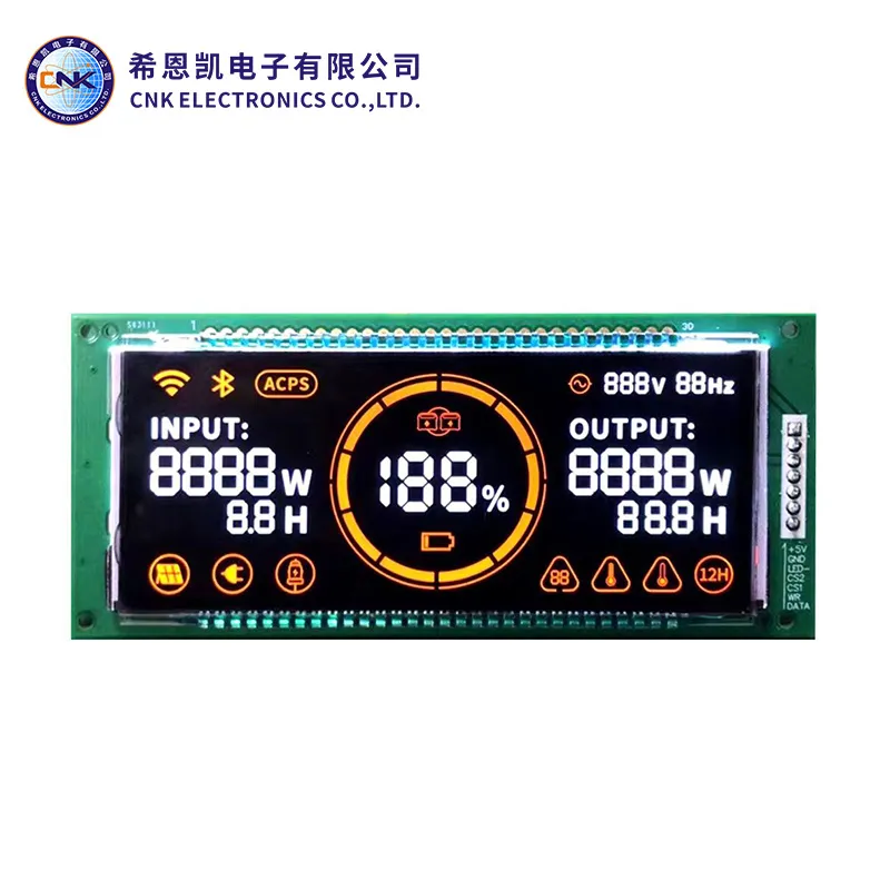 Segment LCD Display