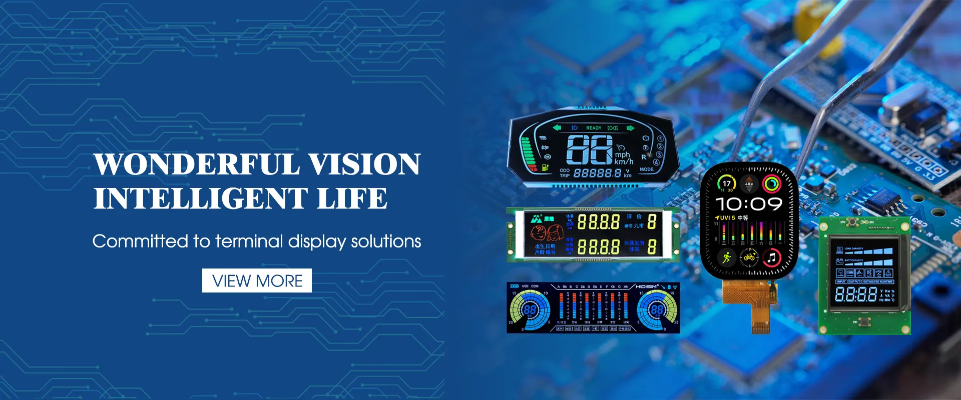 الشركة المصنعة لوحدة LCD