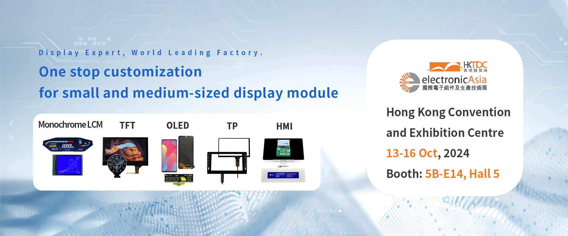 Display Module Supplier