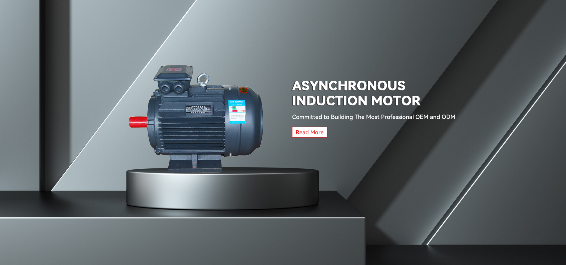 Asynchronous Induction Motor Factory