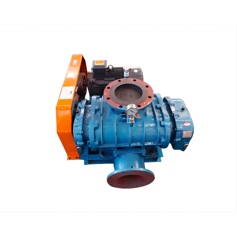 The Working Principle of Roots Vacuum Pump