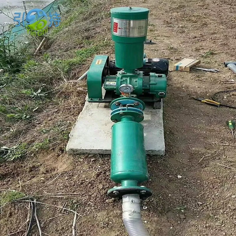 Energy-Efficient Roots Blower for Sewage Treatment Plants: A Sustainable Solution by Shandong Yinchi Environmental Protection Equipment Co., Ltd.