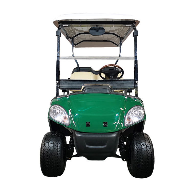 2+2 Seater Electric Golf Cart