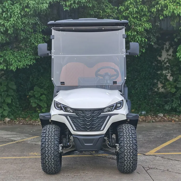 2+2 Seater Electric Lifted Hunting Vehicle