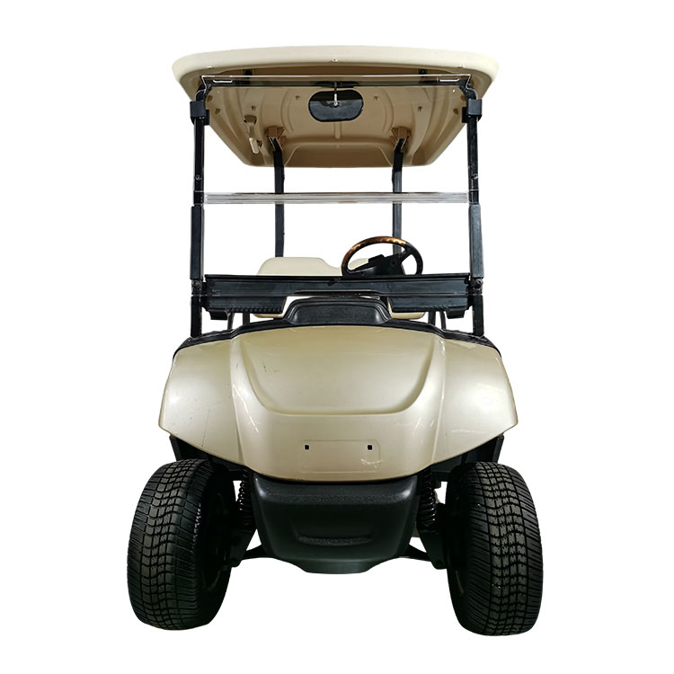 2-Sitzer-Elektro-Golfwagen