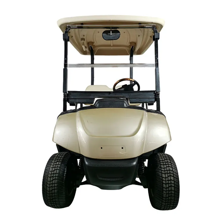 Cărucior de golf electric cu 2 locuri