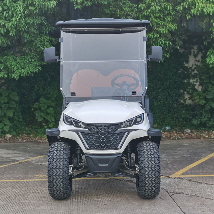 2 Seater Electric Hunting Vehicle