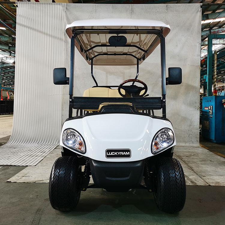 4+2 Seater Electric Golf Cart