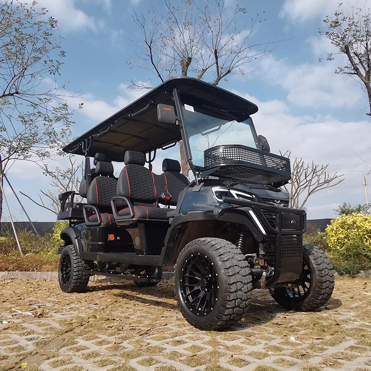 4+2 Seater Electric Lifted Hunting Vehicle