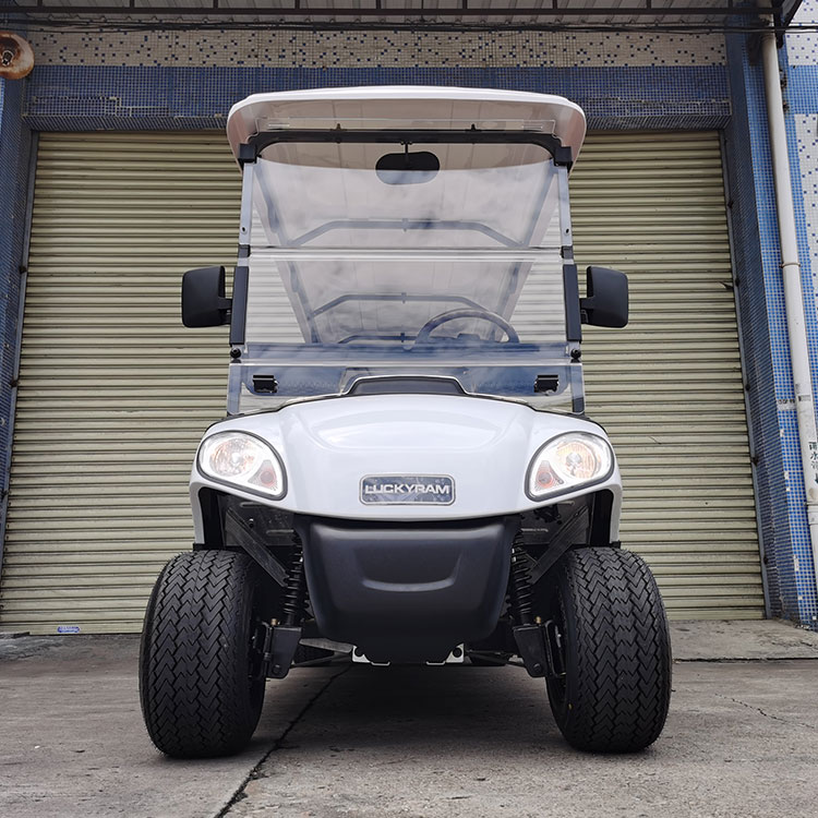 6+2 Seater Electric Golf Cart