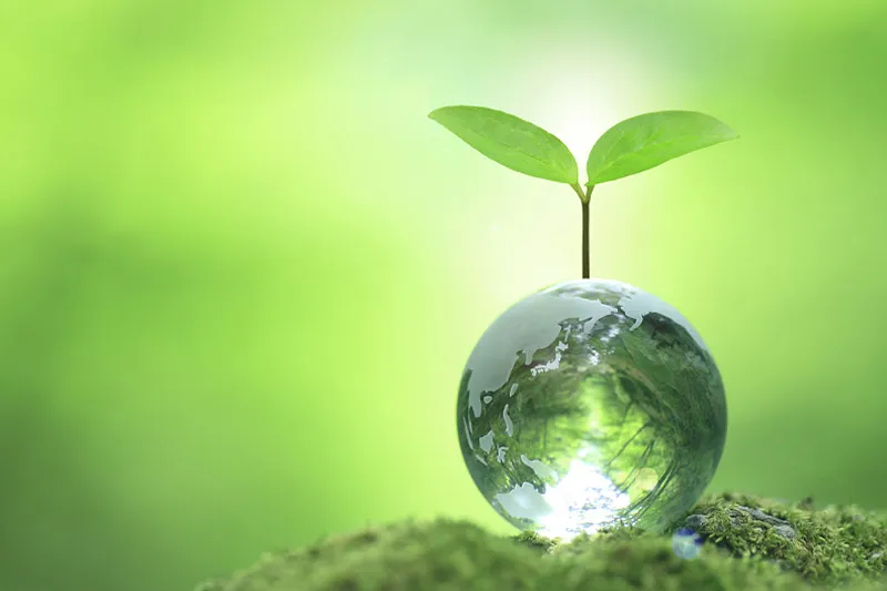 To Earth Day: Enhancing Sustainability In Production