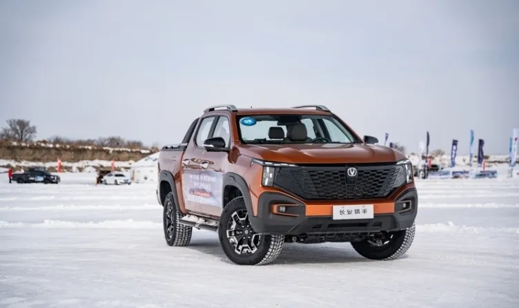 Global New Energy Civilian Pickup Truck Inventory Which one are you interested in?