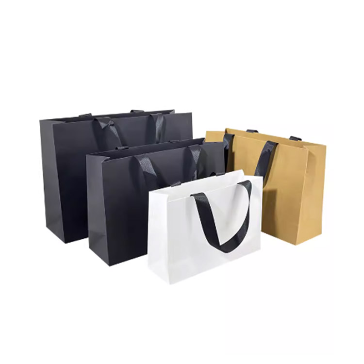 Luxury Printed Shopping Paper Bag