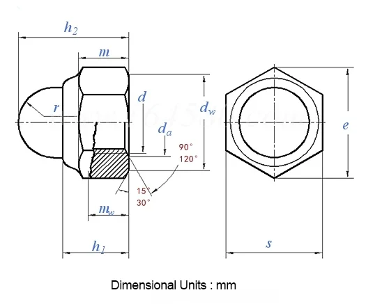 Non-Metal Insert Hexagon Lock Cap Nut Welded Type