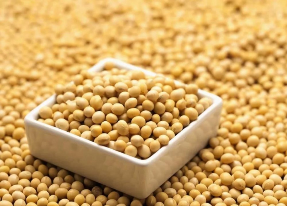 What are the benefits of soy isoflavones?