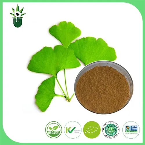 What symptoms can Ginkgo biloba leaf extract be used to alleviate?