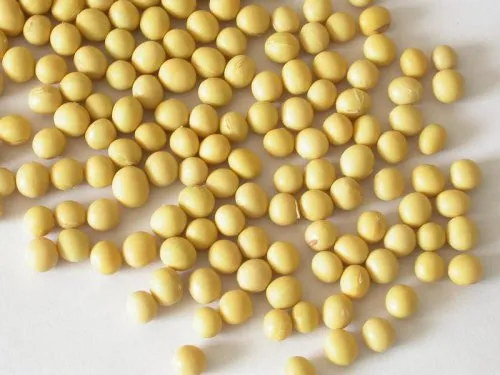 What are the functions and effects of soy isoflavones?