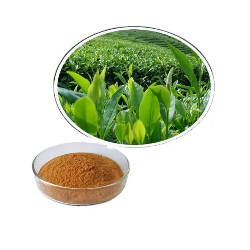 What are the food applications of green tea extract?