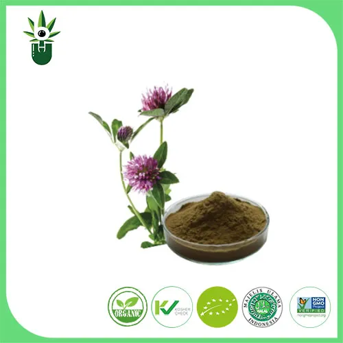 Extrakt Medicago sativa L