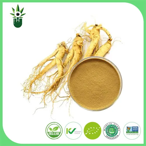 Amerikaans Ginseng-extract