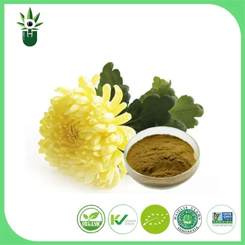 Chrysanthemum-extract