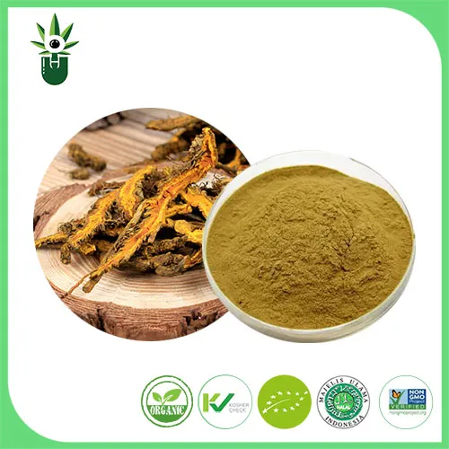 Coptis Chinensis-extract