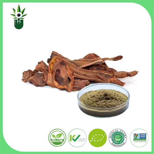 Dog Spine Extract